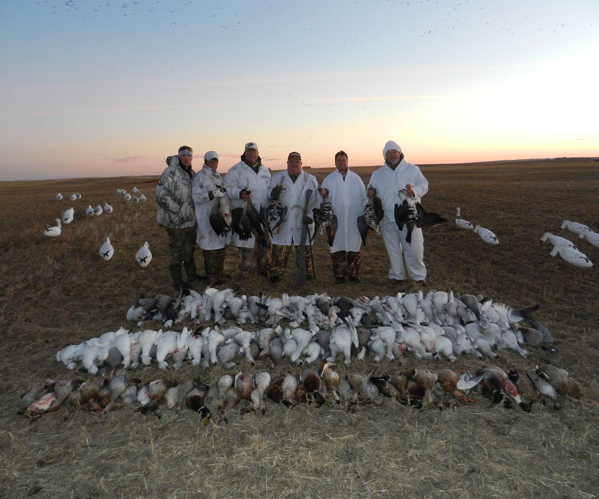 morning snow goose hunt with hunters