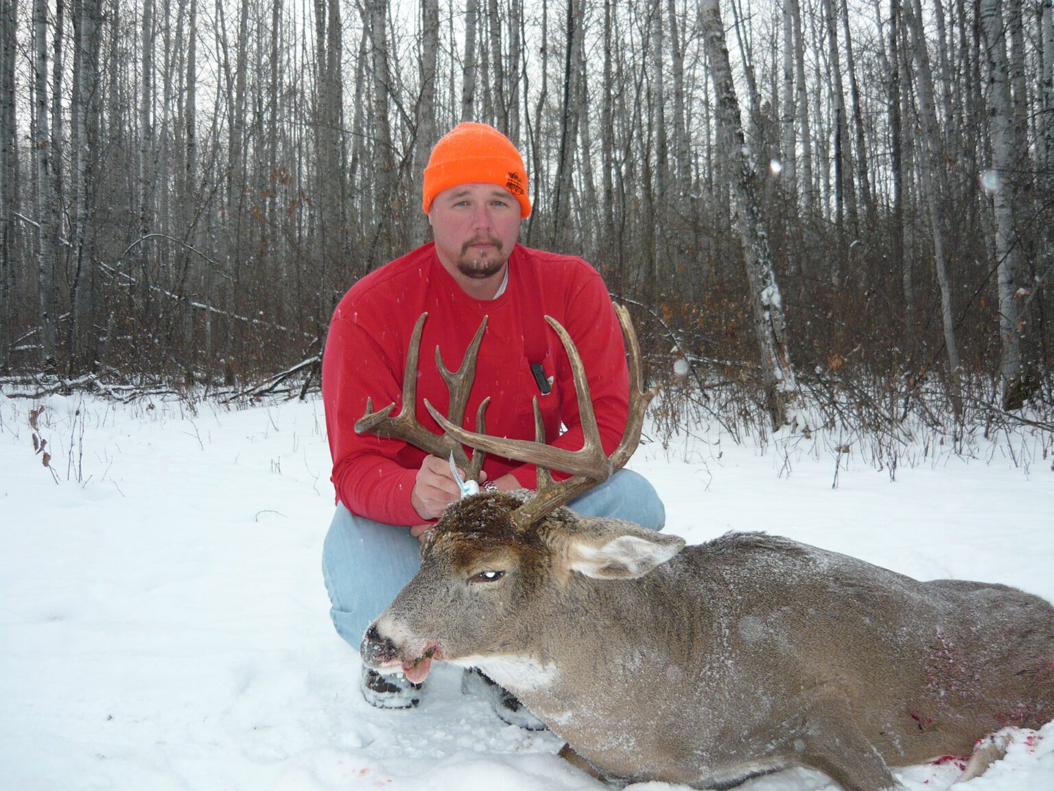 Deer Hunting Seasons & Rates Highland Outfitters SK, Canada